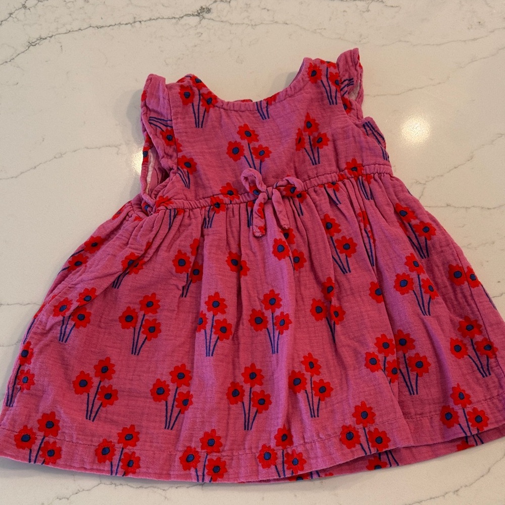 Hanna Andersson Pink Dress with Red Floral Pattern